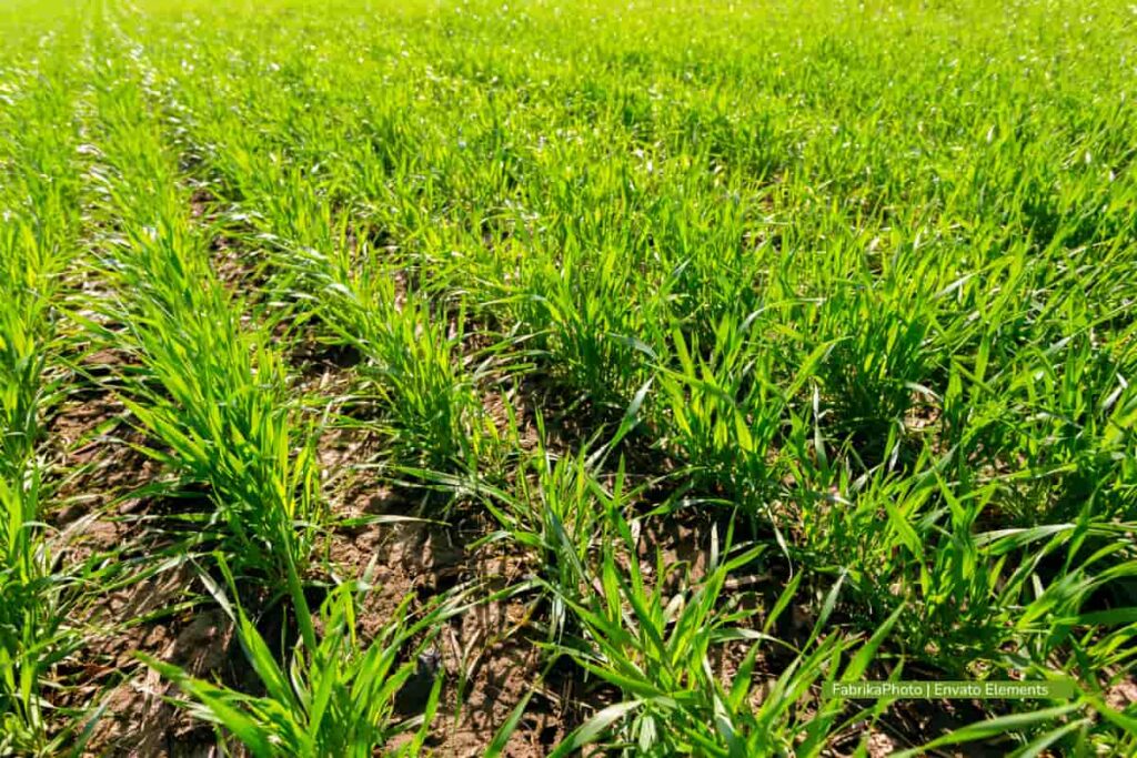 La jurisdicción agraria, un avance histórico para el campo colombiano