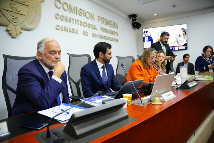 La Misión de Observación Electoral de la Unión Europea presentó su Informe Final en la Cámara